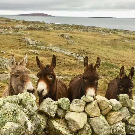 Earls View Pod Luxuszelt Carna