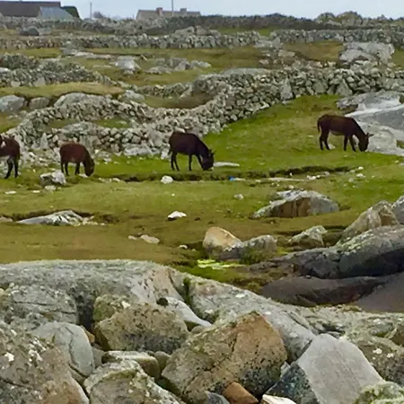 Earls View Pod Luxuszelt Carna