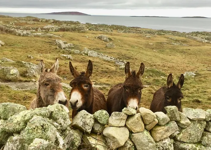 Earls View Pod Luxusní stan Carna