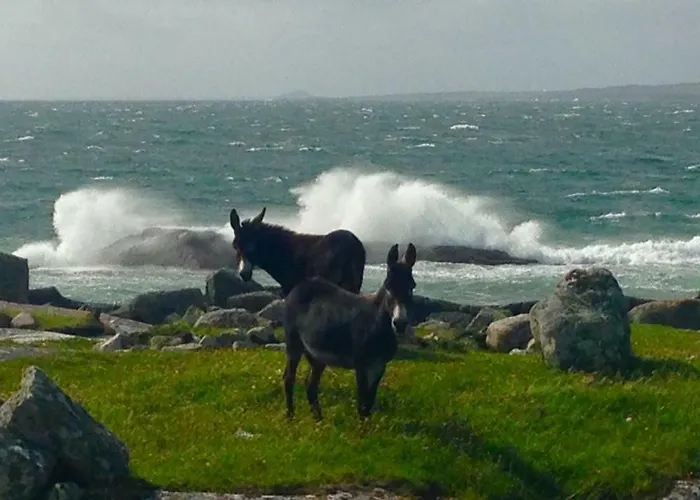 Glamping Earls View Pod Carna